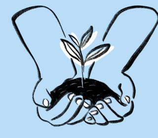 Socio-educational Projects