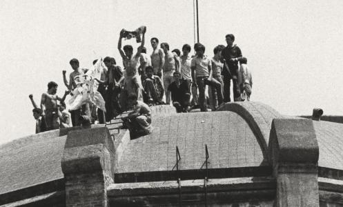 Nascuts lliures premsa