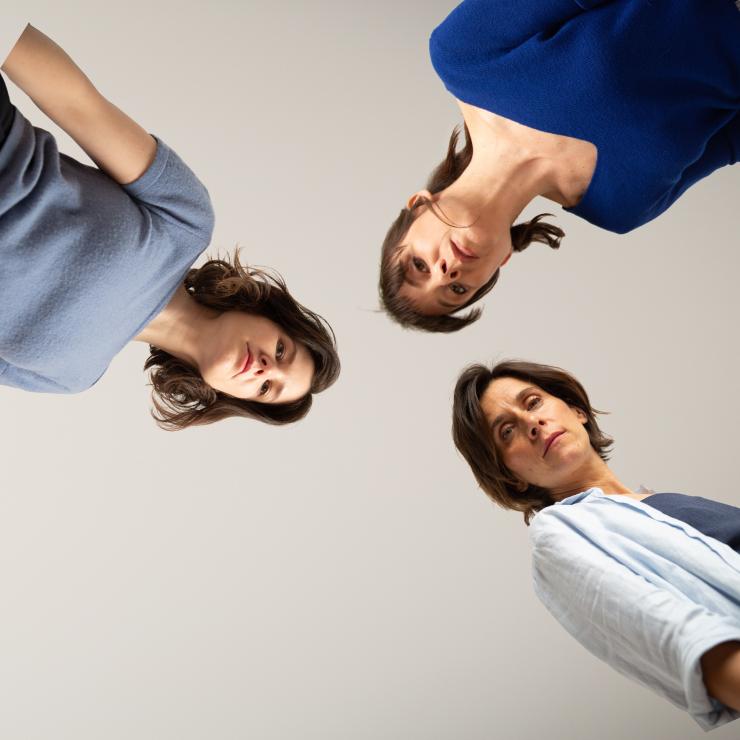 Anatomia d'un suïcidi