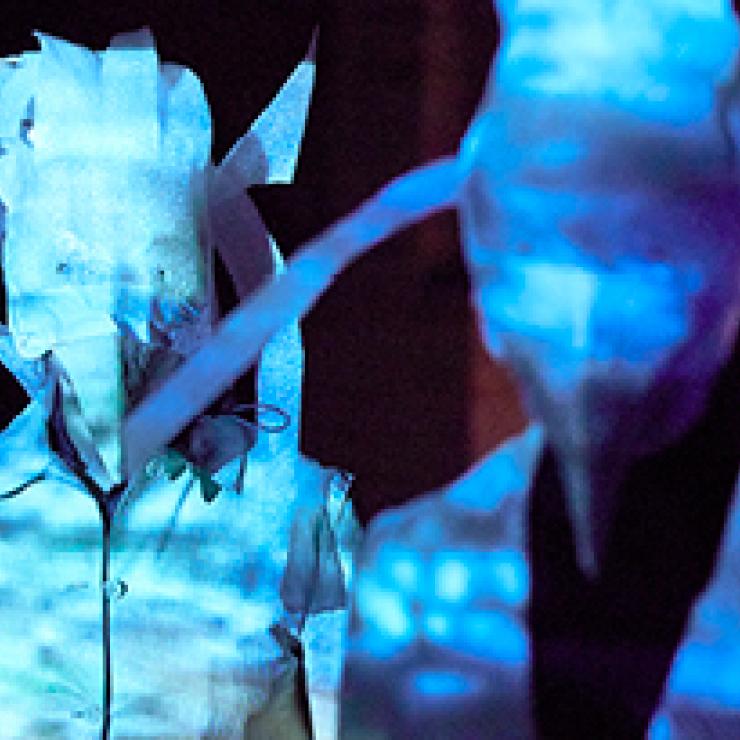 DOUBLE INFINITE. The Bluebird Call